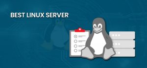 Types of Linux server