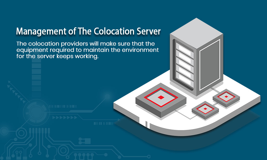 colocation hosting providers