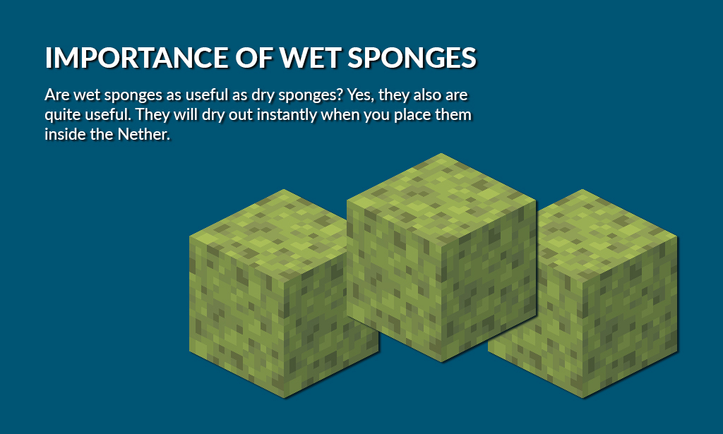 how to get sponges in Minecraft