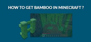 how to grow bamboo in minecraft