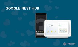 Google Nest Hub Product Image