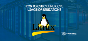 Linux CPU Usage
