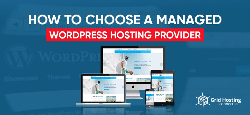 managed wordpress hosting provider